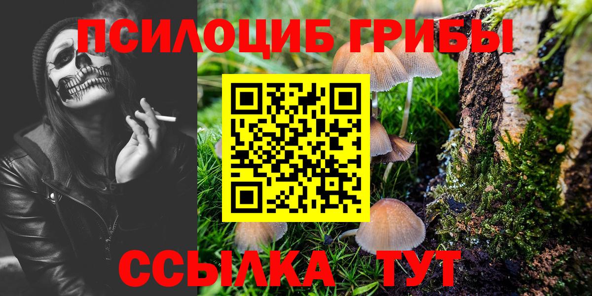 Галлюциногенные грибы Magic Shrooms Горячий Ключ