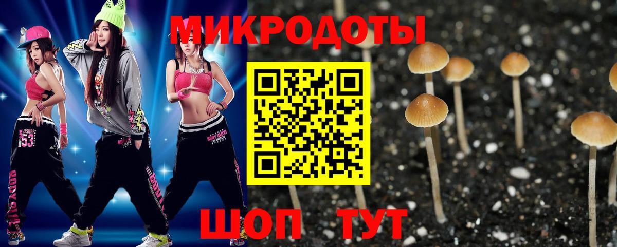 Галлюциногенные грибы ЛСД  где можно купить   Горячий Ключ  Вход с VPN  Псилоцибиновые грибы мицелий 